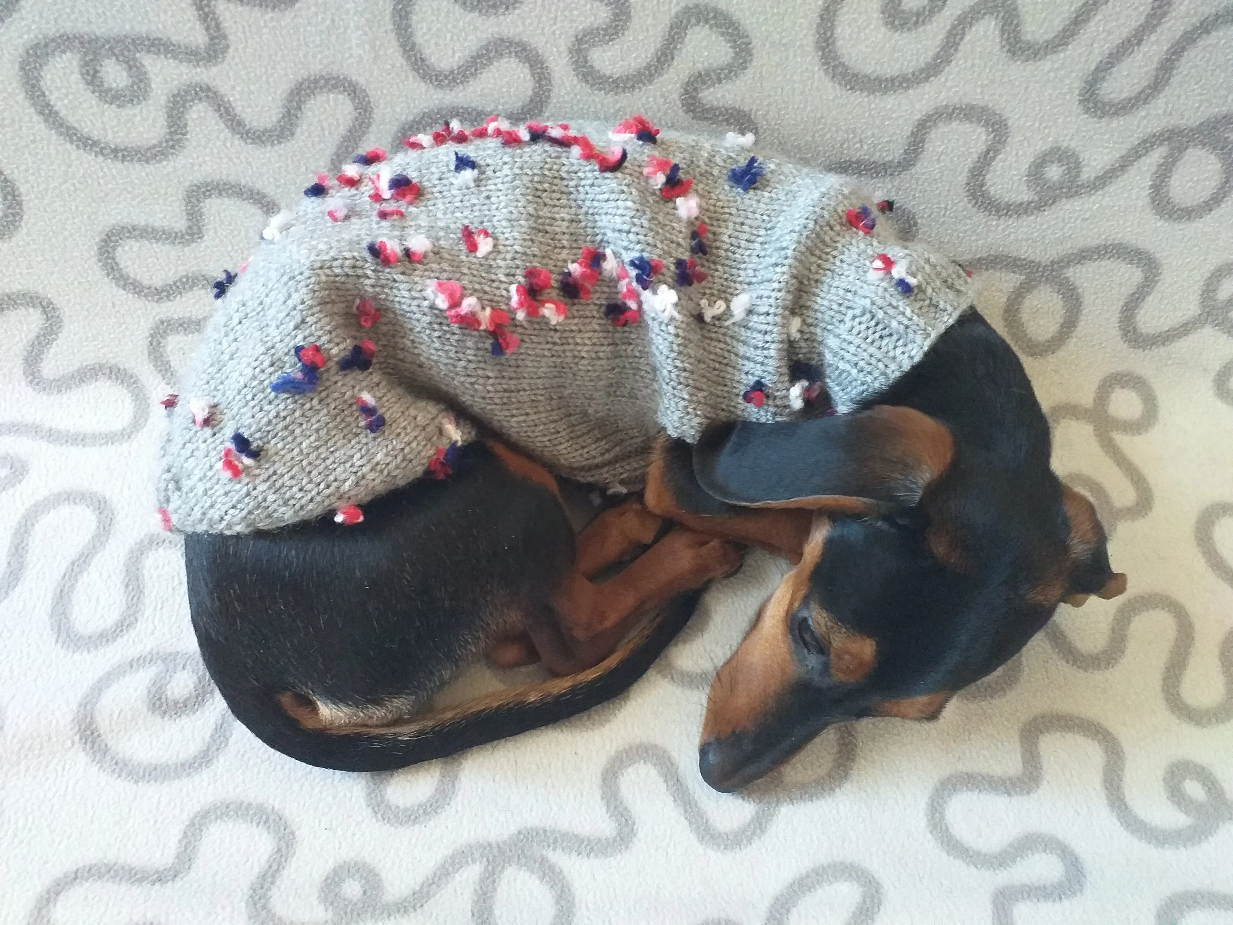 Gray Floral Mini Dachshund Jumper, Dog Coat, Clothes Dog Sweater